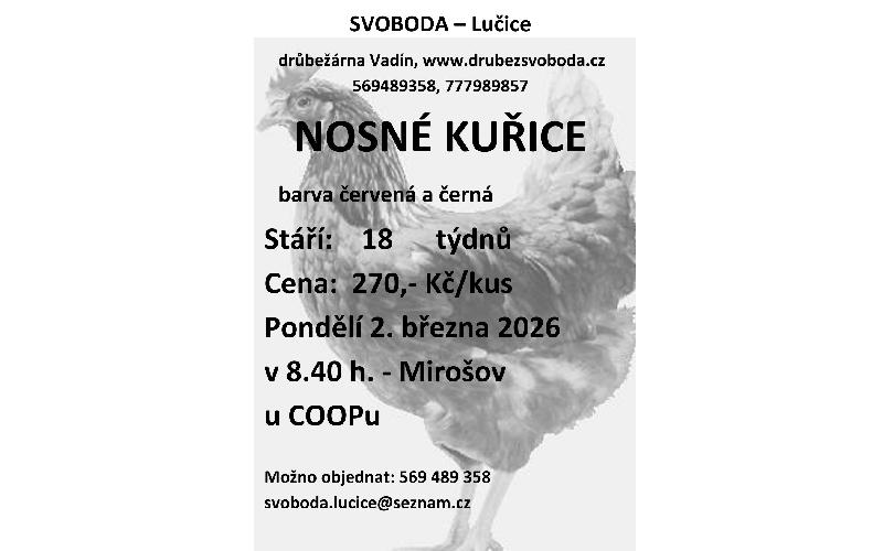 Aktuality - Prodej Kuřic